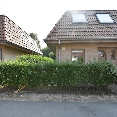 Bright Family With Bikes