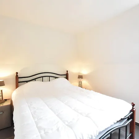 Bright Family With Bikes *