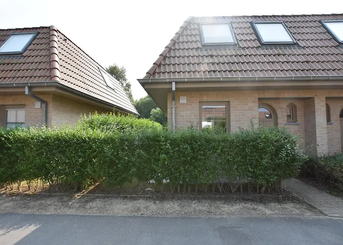 Bright Family With Bikes